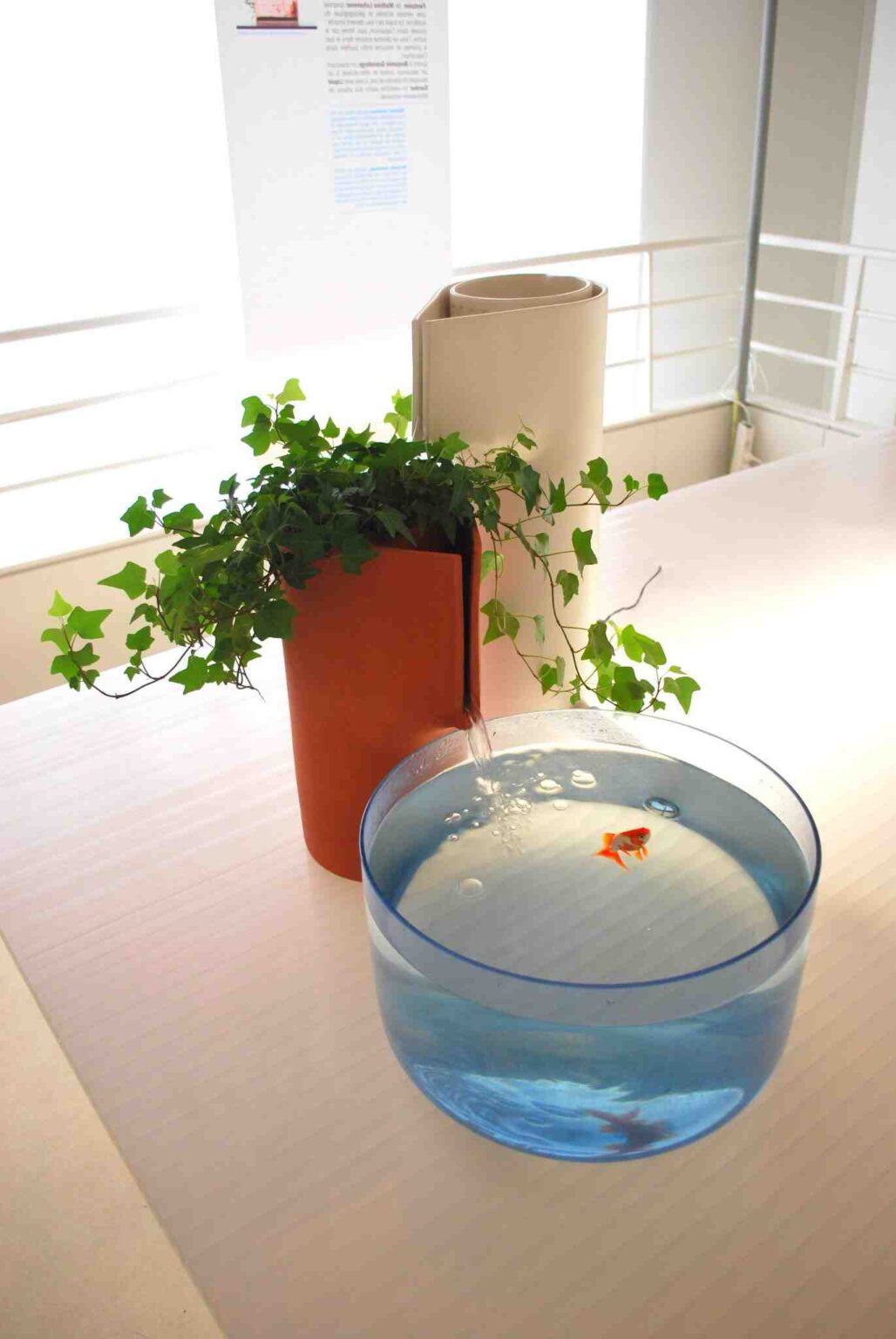 Comment oxygéner l'eau d'un aquarium sans filtre ? DouglasPiscine — free download